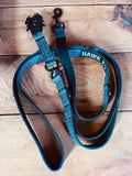 Hawk K9 Everyday lead
