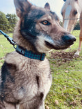 Hawk k9 Everyday Collar