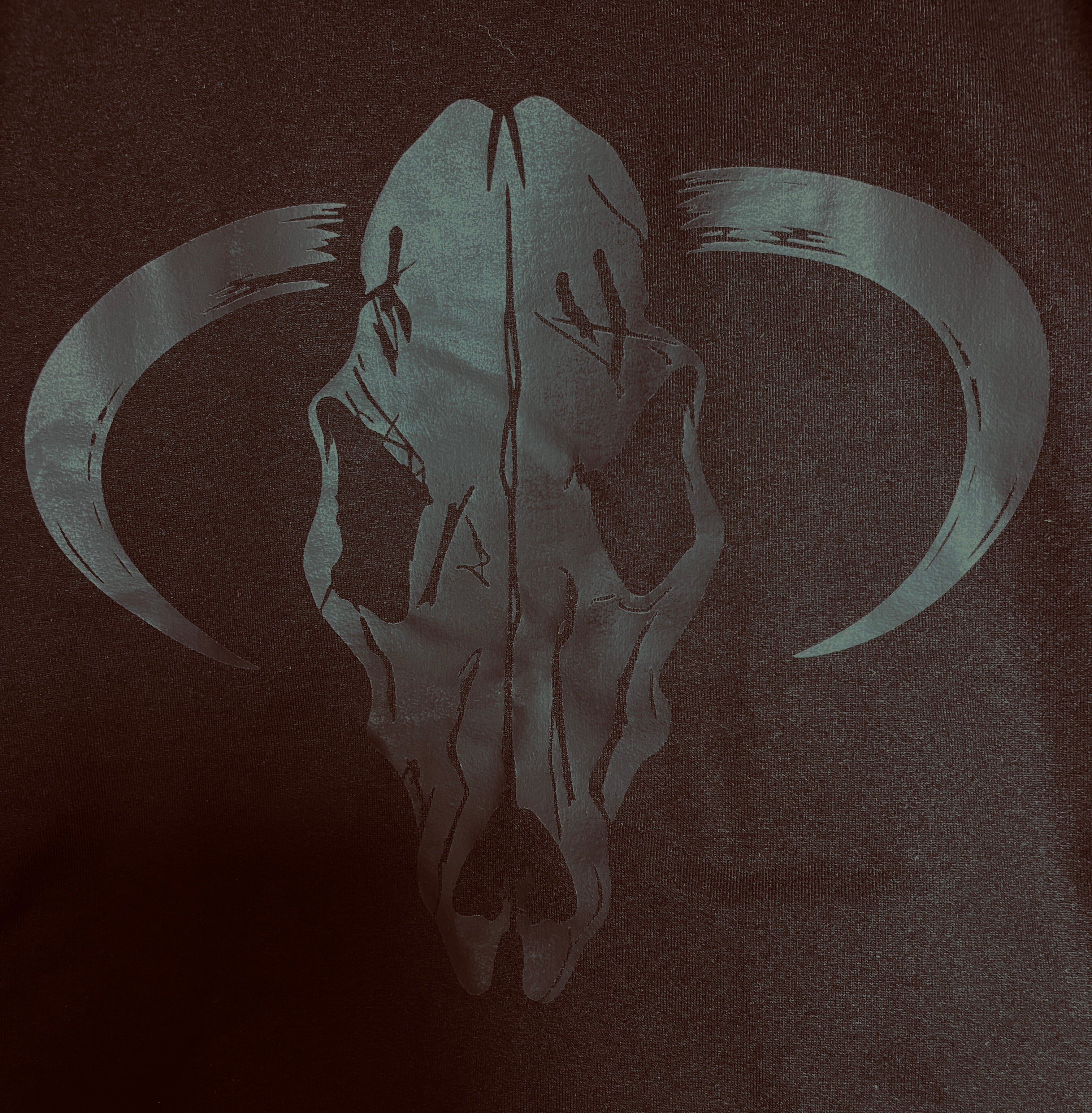 CBW Stealth Longhorn Hoodie